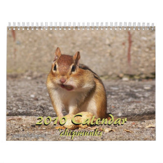 Jordekorrekalender 2010 kalender