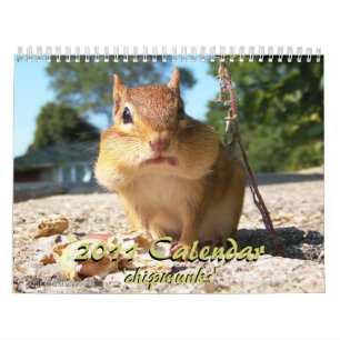 Jordekorrekalender 2011 kalender