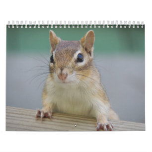 Jordekorrekalender Kalender