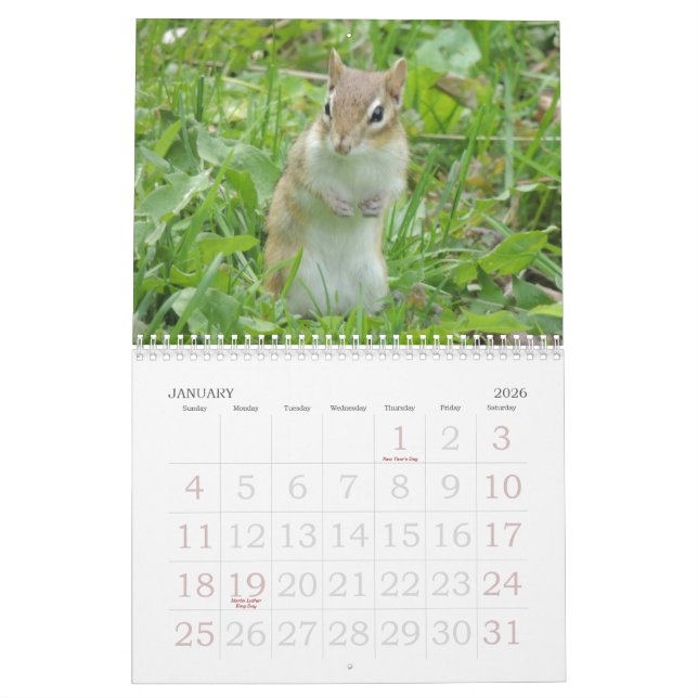 Jordekorrekalender Kalender (Jan 2026)