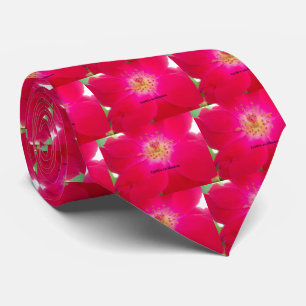 Jorden är en illusion slips