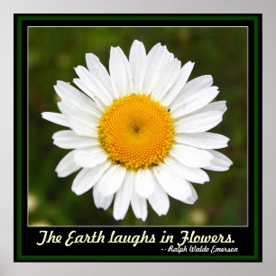 Jorden Laughs i Flowers Poster