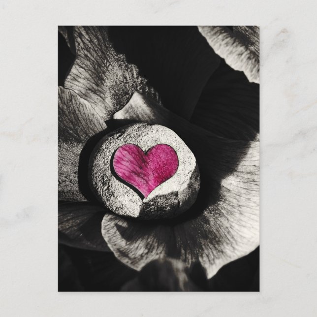 Jorden Stone & Peony Flower Vykort (Framsida)