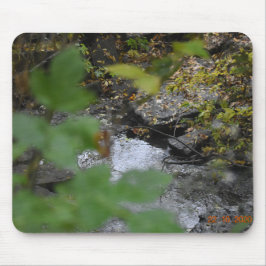 Jordens fantasi musmatta