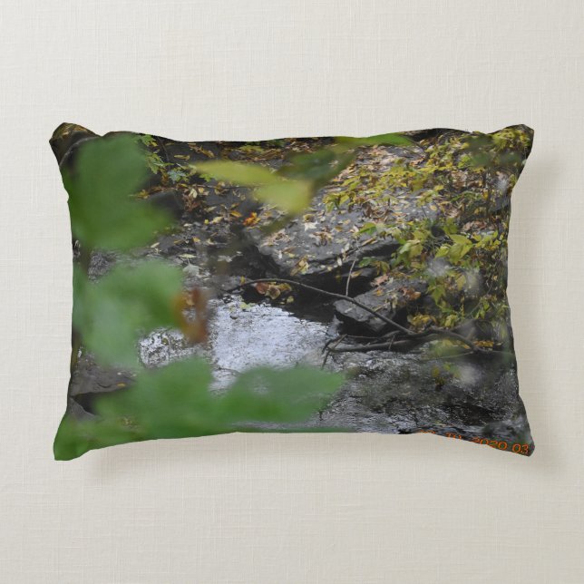 Jordens fantaster prydnadskudde (Framsidan)