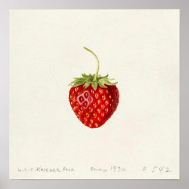 Jordgubbar (av Louis C.C. Krieger) Poster
