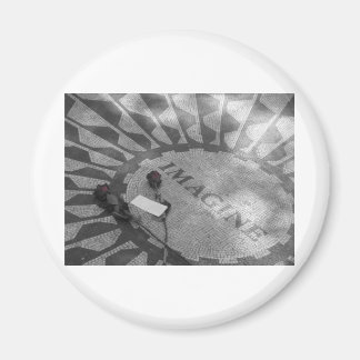 Jordgubbar Fält Magnet