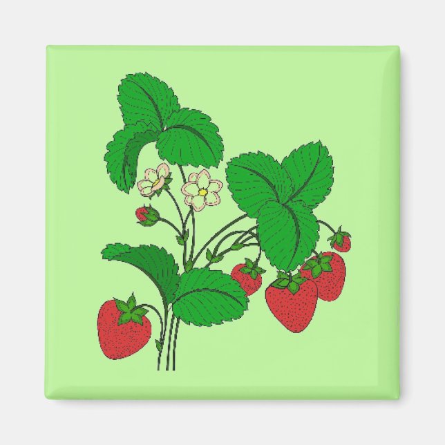 Jordgubbar för Breakfast Magnet (Framsidan)