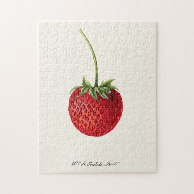 Jordgubbar (Fragaria) Färgmålning på frukt Pussel (Vertikal)