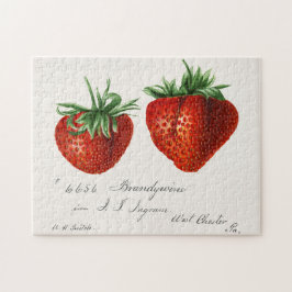 Jordgubbar (Fragaria) Färgmålning på frukt, vatten Pussel