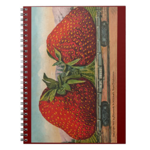 Jordgubbar Giant Antique Fruit Roligt Anteckningsbok