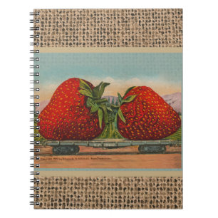 Jordgubbar Giant Antique Fruit Roligt Anteckningsbok Med Spiral