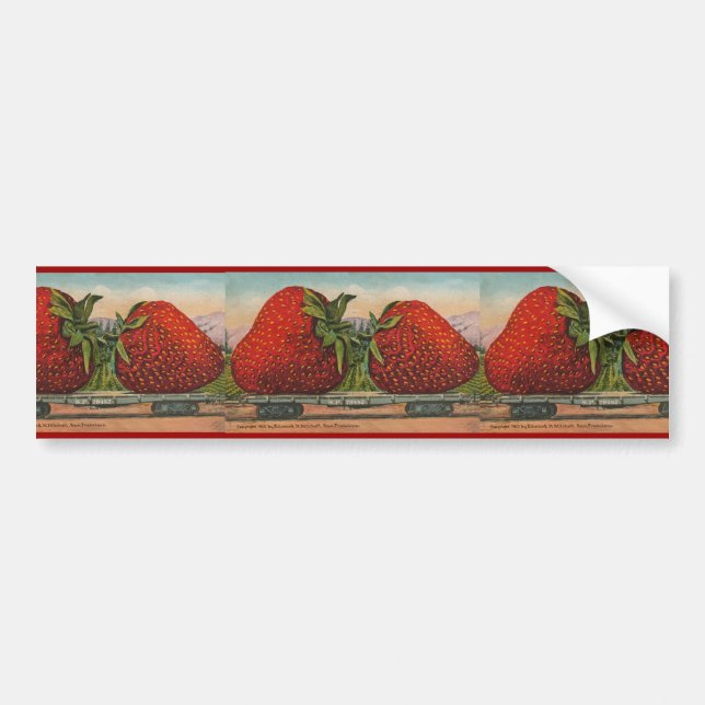 Jordgubbar Giant Antique Fruit Roligt Bildekal (Framsidan)