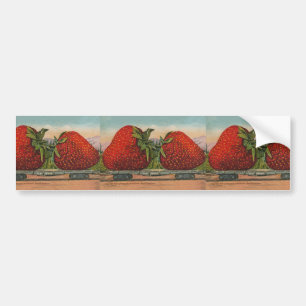 Jordgubbar Giant Antique Fruit Roligt Bildekal