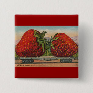 Jordgubbar Giant Antique Fruit Roligt Knapp
