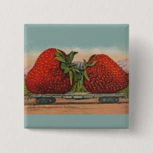 Jordgubbar Giant Antique Fruit Roligt Knapp