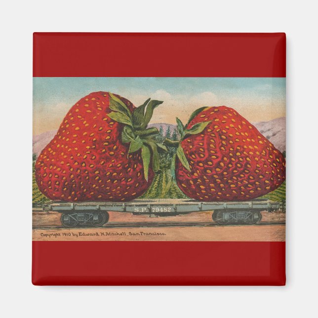 Jordgubbar Giant Antique Fruit Roligt Magnet (Framsidan)