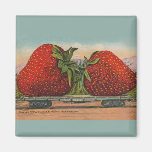 Jordgubbar Giant Antique Fruit Roligt Magnet