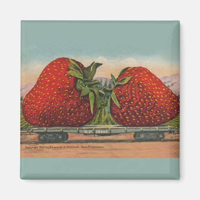 Jordgubbar Giant Antique Fruit Roligt Magnet (Framsidan)