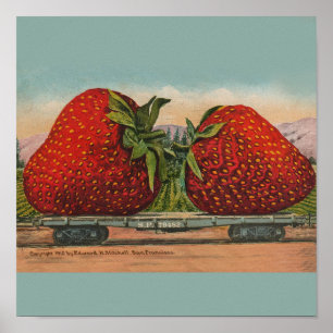 Jordgubbar Giant Antique Fruit Roligt Poster