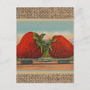 Jordgubbar Giant Antique Fruit Roligt Vykort