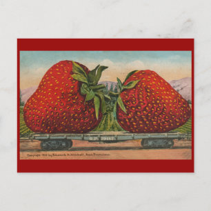 Jordgubbar Giant Antique Fruit Roligt Vykort