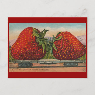 Jordgubbar Giant Antique Fruit Roligt Vykort