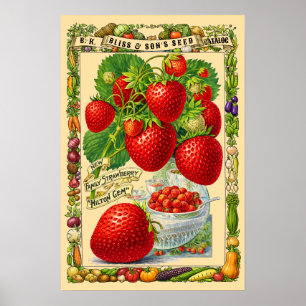 Jordgubbar Retro Viktoriansk Era Botanisk Konst Poster
