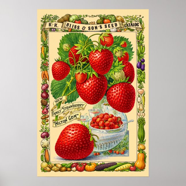 Jordgubbar Retro Viktoriansk Era Botanisk Konst Poster (Framsidan)