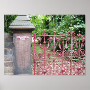 Jordgubbe Fält Poster