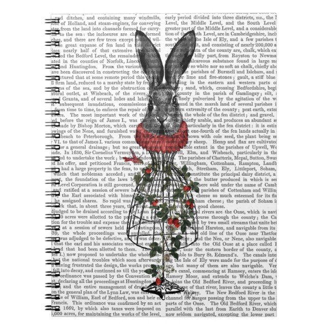 Jordgubbe Hare Anteckningsbok Med Spiral (Framsidan)