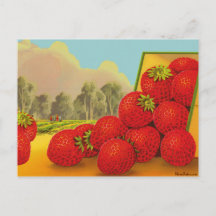 Jordgubbe Låda-etikett Vintage Art Blank vykort