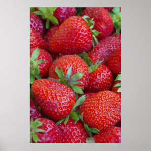 Jordgubbe Poster