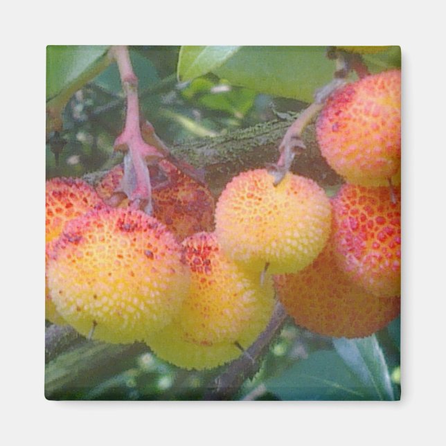 Jordgubbe Träd Fruit Magnet (Framsidan)