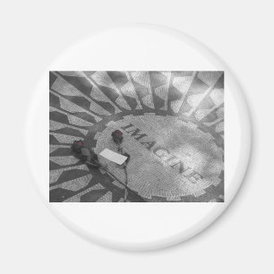 Jordgubbefält Magnet