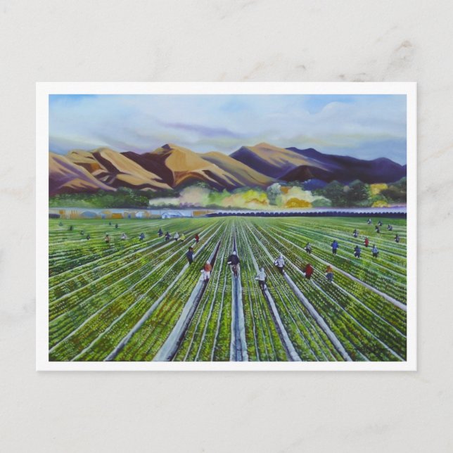 Jordgubbefält Vykort (Framsida)