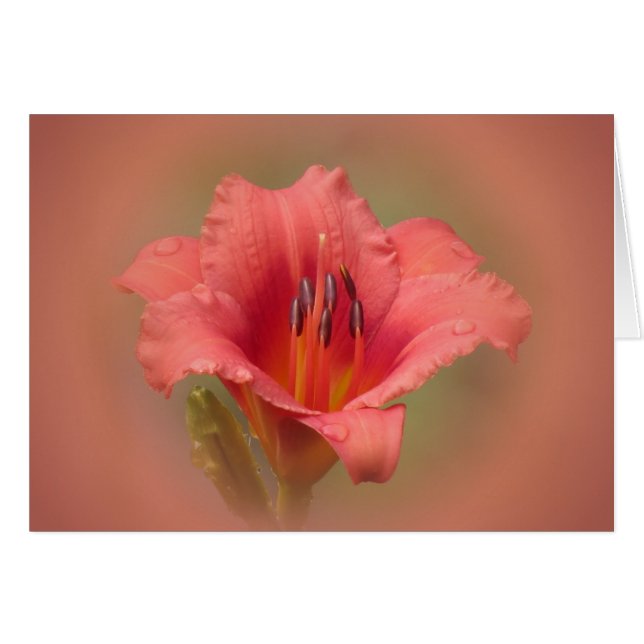 Jordgubbsbensin Hälsningskort (Framsidan Horizontal)