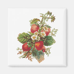 Jordgubbsblommor Magnet