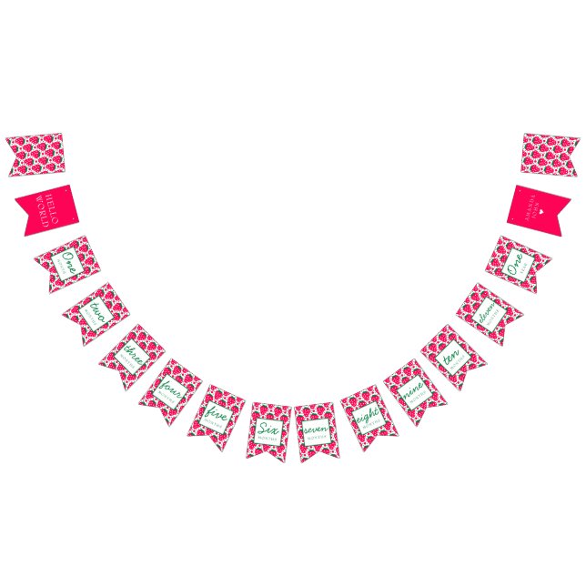 Jordgubbsflicka Berry 1:a födelsemittdelstenar Vimplar (Alla)