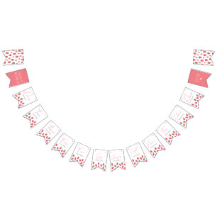 Jordgubbsflicka Berry Första födelsemittdelstenar Vimplar