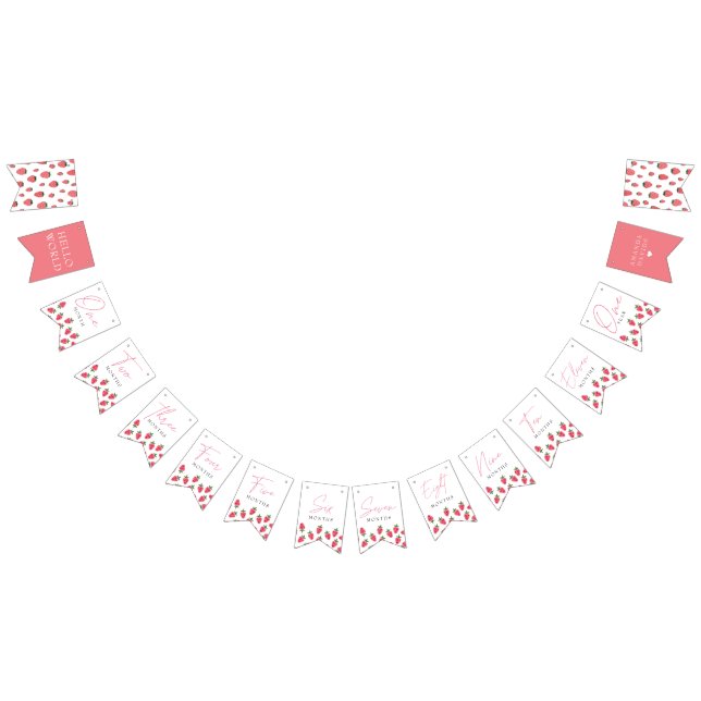 Jordgubbsflicka Berry Första födelsemittdelstenar Vimplar (Alla)