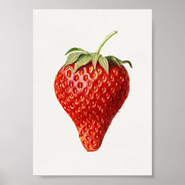 Jordgubbskonst Vintage Poster (Framsidan)