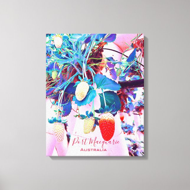 Jordgubbsodling Port Macquarie Australien Canvastryck (Framsida)