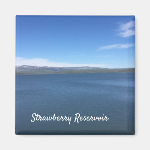 Jordgubbsreservoir Magnet