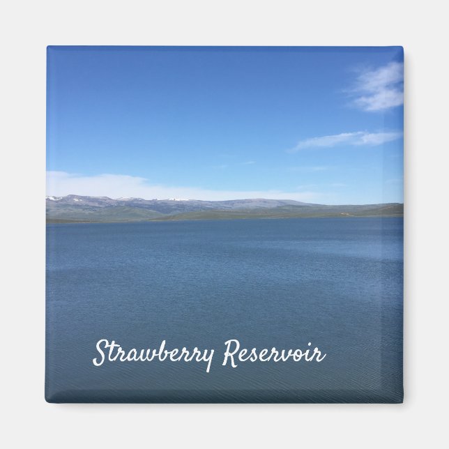 Jordgubbsreservoir Magnet (Framsidan)