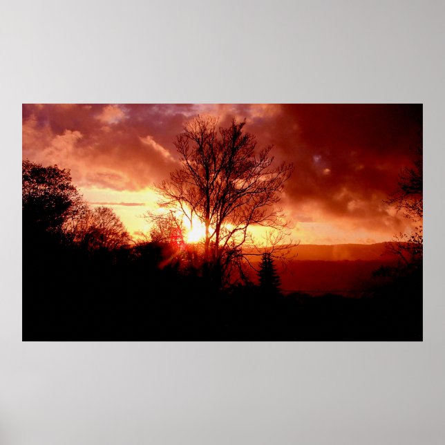 Jordgubbssoluppgång Poster (Framsidan)