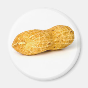 Jordnöt Magnet