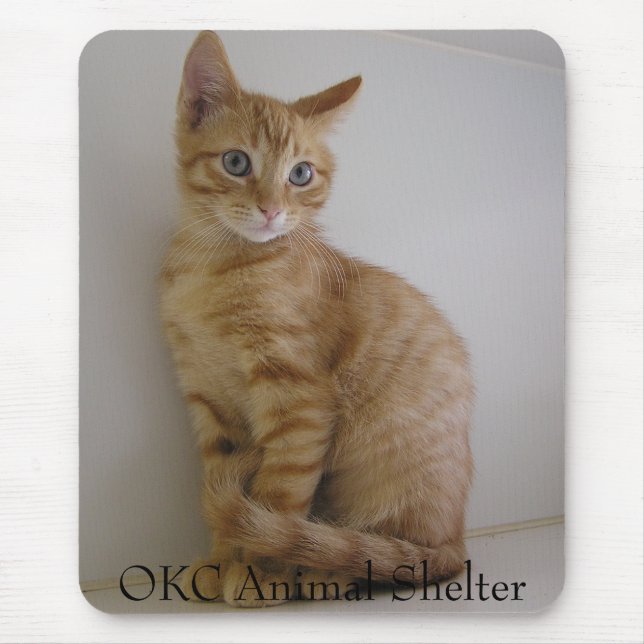 Jordnöt Musmatta (Framsidan)