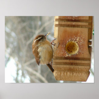Jordnötssmör Poster