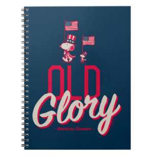 Jordnötter Amerikanska sommaren Old glory Anteckningsbok